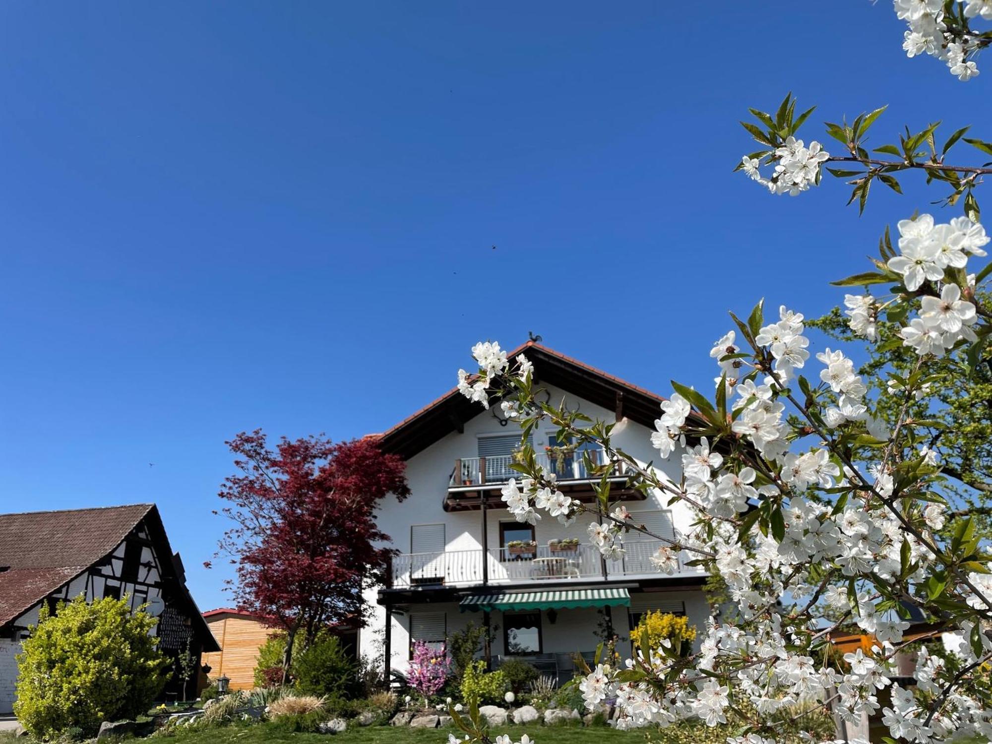 Bergchalet Mirabell - Hofgut Friedrichshafen Exterior photo