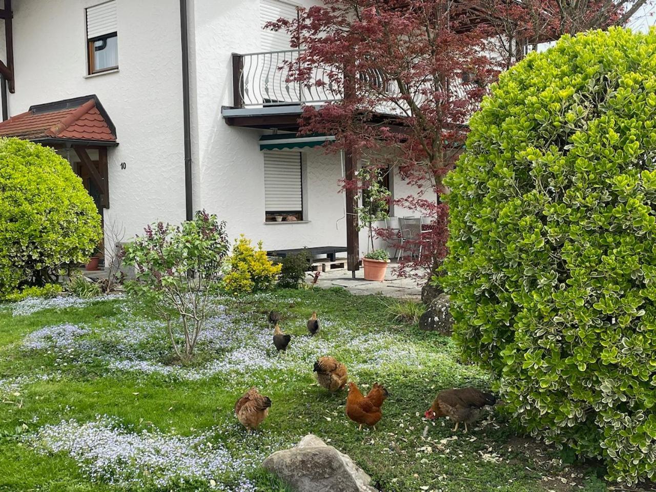 Bergchalet Mirabell - Hofgut Friedrichshafen Exterior photo